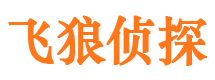 陆川寻人公司